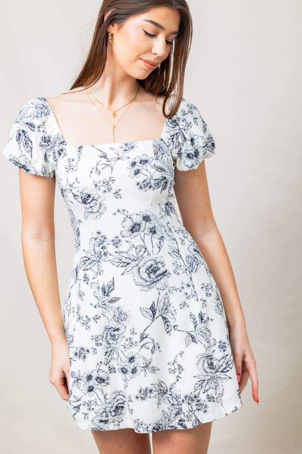 The Rose Haven Mini Dress